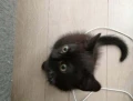 jhonnyy