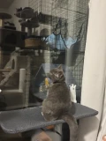 img 3649