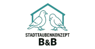 Bau eines Taubenschlages