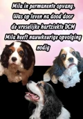 1 mila