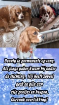 7 beauty