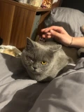 img 3764