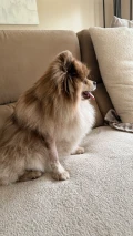 img 0747