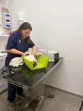 img 7226