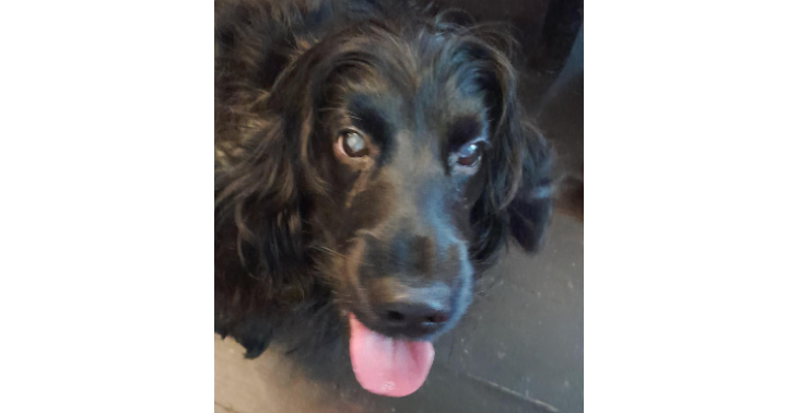 Help Tascha a.u.b.!