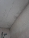 1000069173