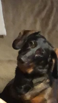 1000067893