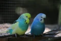 img 0724