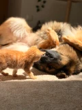 img 3641