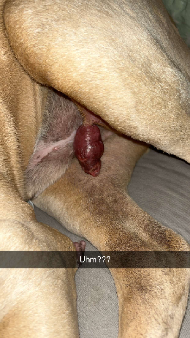 img 1670