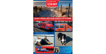 Berner Senners en Newfoundlanders in de KAREL 9Oktober 22 in actie voor KWF