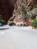 al monsour