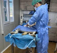 1000119525