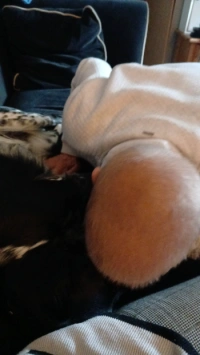 img 178911606386f
