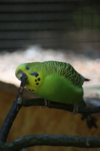 img 0759