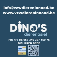 dinos dierenasiel