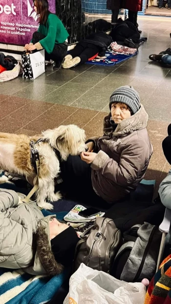 7bc4247e 8197 4bcc 931d 0e03ba3e7998.