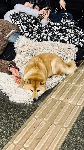 f63db8a4 86e3 4f94 aac2 174bf14e67f6.