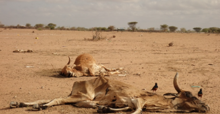 Boren van een waterput in Suguta Marmar,  Samburu, Kenia 