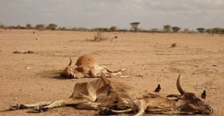 Boren van een waterput in Suguta Marmar, Samburu, Kenia