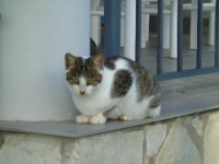 dsc00560