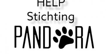 Hulp gevraagd voor stichting pandora