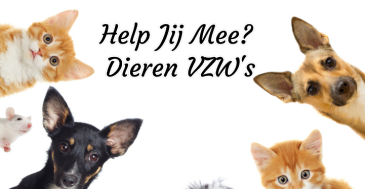 Help Jij Mee? Dieren VZW&#039;s