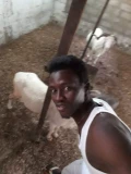received 1171535553249109