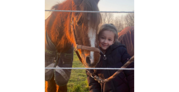 Nieuw paard voor chelsea
