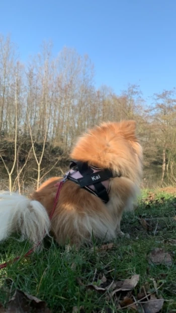 1ee2c348 e4d5 4bbe 8392 7e50a2eb40de.