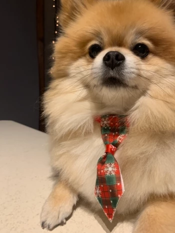 33aedbf3 d935 42df 9967 8790cc300830.