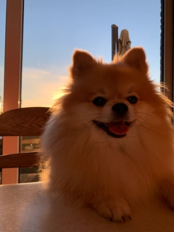 b376aa46 ffad 4e82 a3a0 b4660a70fd0b.