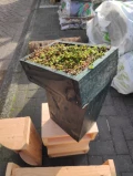 img 20220412 092107