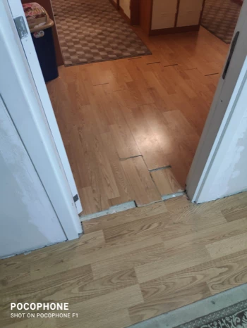 0e35a694 941d 4b62 90a9 5c0d3812e159.