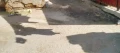 img20220310152015