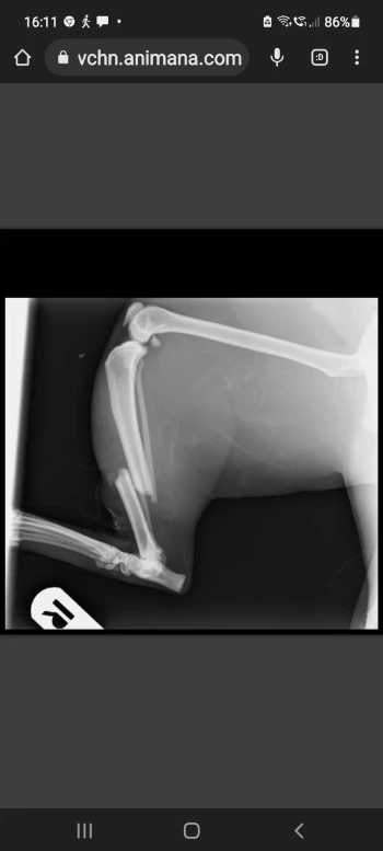 screenshot 20220425 161102 chrome.