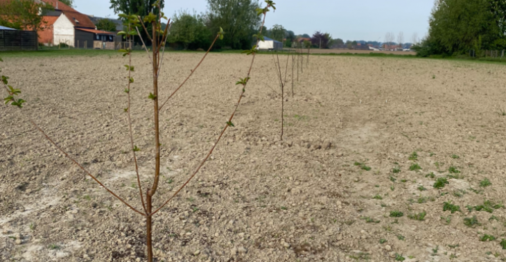 Help een organische boerderij 