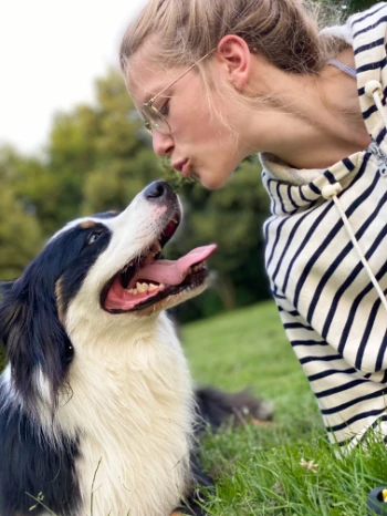 f6b4ca3c b9d0 4e62 a326 33d5fdd25213.