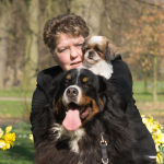 Lola&#039;s Berner Sennen Newfoundlander Wandel en evenementengroep