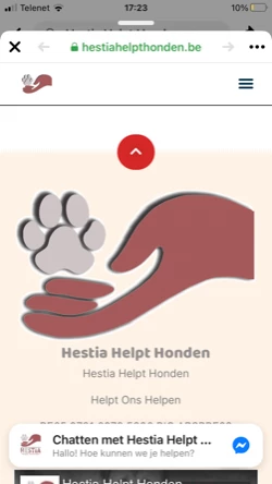 Hestia helpt honden