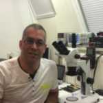 Robert D&#039;Arcangelo