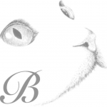 Blitz Kattenopvang