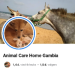 Animal Care Home Gambia