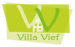 Villa Vief VZW