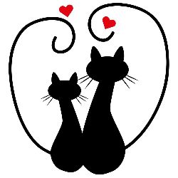 Kittenhuis Jabbeke