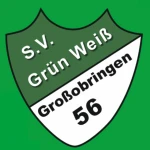 Tanzsportabteilung SV Grün Weiß Großobringen e.V.