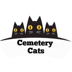 Cemetery Cats