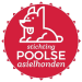 Stichting Poolse asielhonden