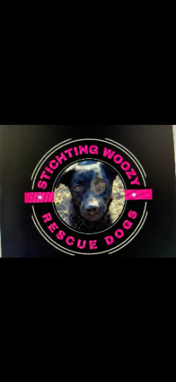 Stichting Woozy