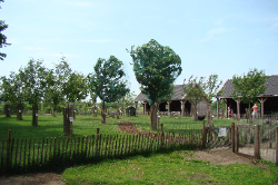 Kinderboerderij de Meent